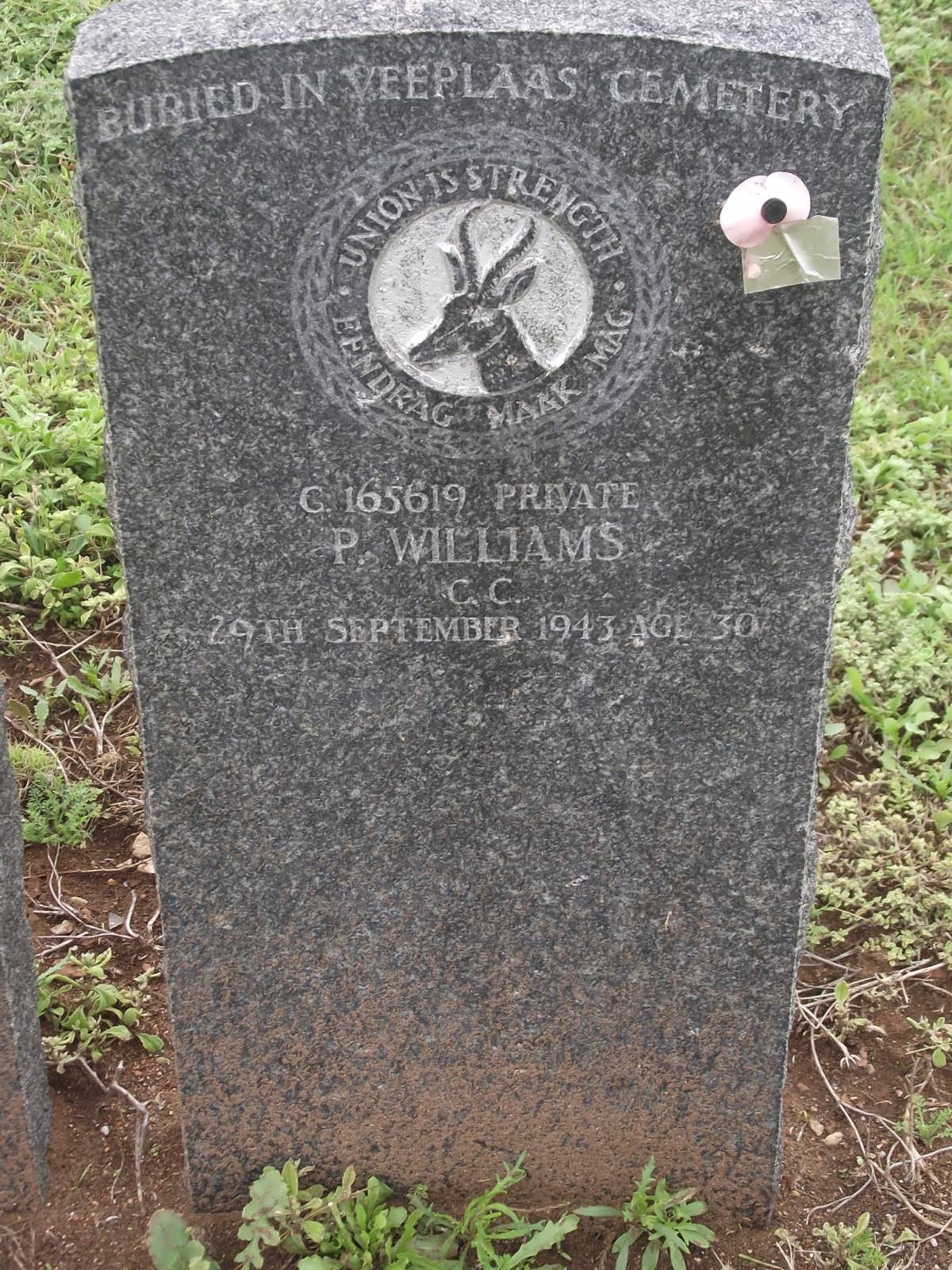 Photo from /search/photos/South Africa/Eastern Cape/PORT ELIZABETH (NORTH END) CEMETERY/WILLIAMS_P.JPG